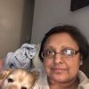 gigi360